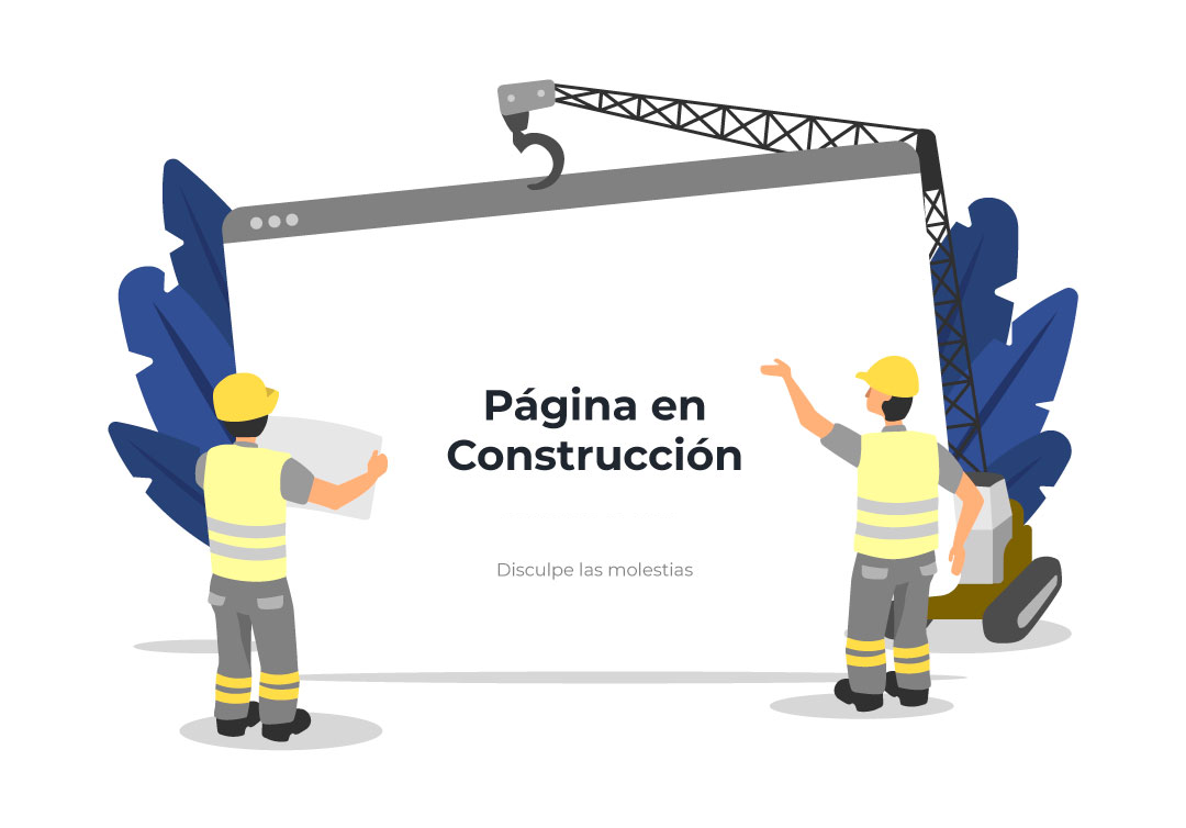 Descripción de la imagen